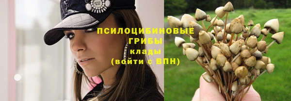 прущая мука Козловка