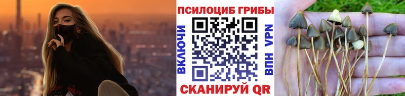 Псилоцибиновые грибы Cubensis  Пушкино 